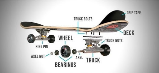parts of longboards ,types of longboards