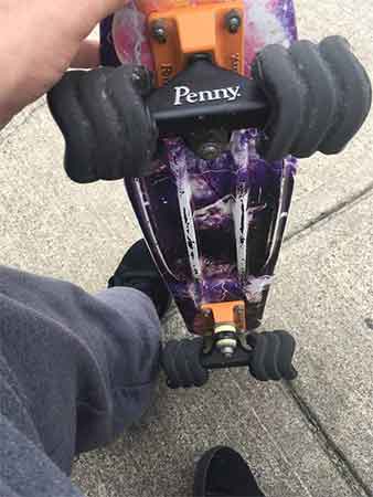 This shark wheels review is the right place for you for the shark wheels hunters.